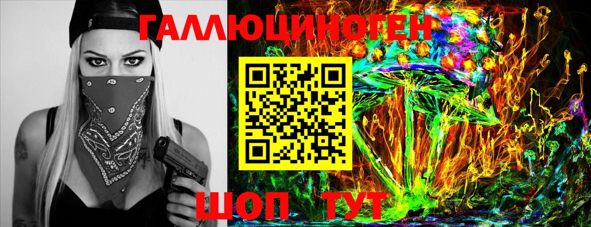 Галлюциногенные грибы Psilocybine cubensis Лесосибирск