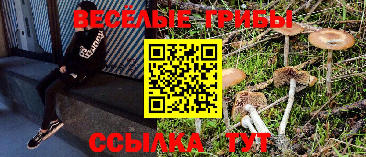 Псилоцибиновые грибы Psilocybe  Вход с VPN  Галлюциногенные грибы мицелий  Лесосибирск 