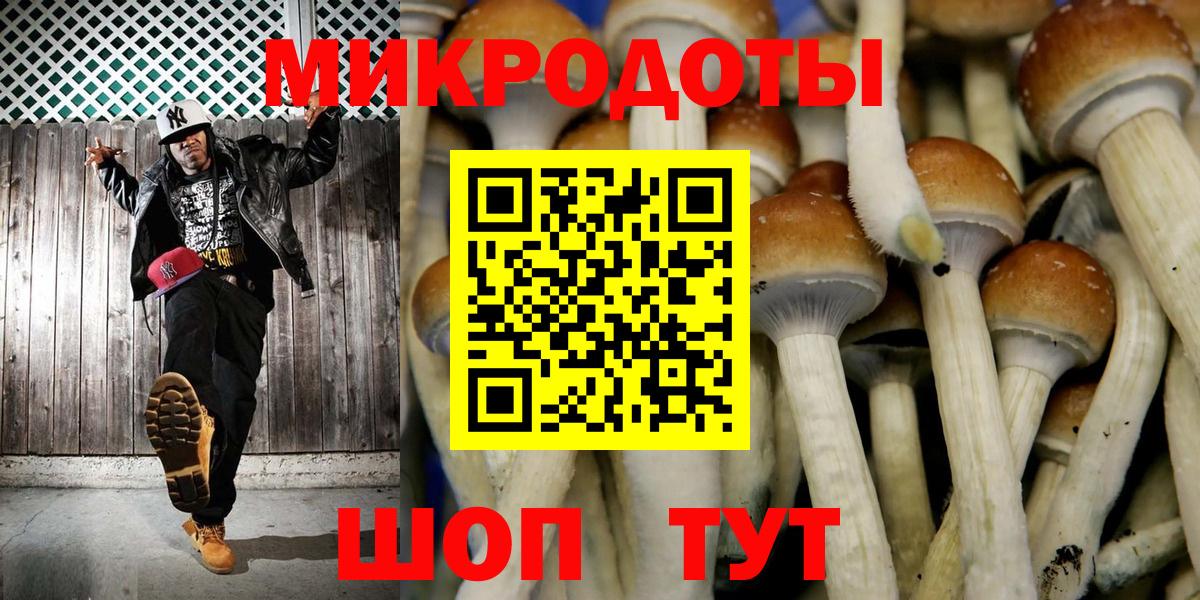 Лсд 25 Лесосибирск